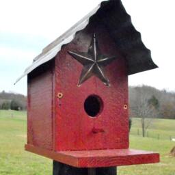 Cedar Single Bird House, Great For Blue Birds, Various Options, Old Tin Top Hand Made With Barn Star. Birds, Wrens - thumbnail 3