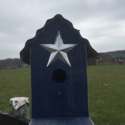 Cedar Single Bird House, Great For Blue Birds, Various Options, Old Tin Top Hand Made With Barn Star. Birds, Wrens - thumbnail 4