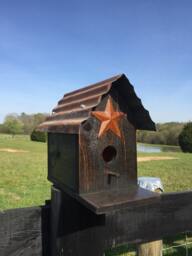 Cedar Single Bird House, Great For Blue Birds, Various Options, Old Tin Top Hand Made With Barn Star. Birds, Wrens - thumbnail 1
