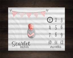 Milestone Blanket Personalized Monthly Growth Tracker Custom Baby Shower Gift Watercolor Pink & Gray For Newborn - thumbnail 1