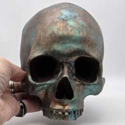 Copper Patina Human Skull Replica . Realistic Plaster Of Paris Life Size Human Replica - thumbnail 2