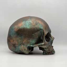 Copper Patina Human Skull Replica . Realistic Plaster Of Paris Life Size Human Replica - thumbnail 4