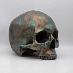 Copper Patina Human Skull Replica . Realistic Plaster Of Paris Life Size Human Replica - thumbnail 3