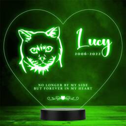 Cat Pet Loss Memorial Forever in My 8 Personalised Gift Colour Night Light - thumbnail 1