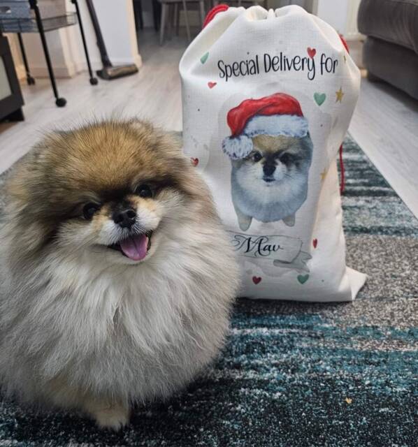 Personalised Dog Christmas Sack, Stocking, Treat Bag - image 1