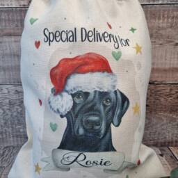 Personalised Dog Christmas Sack, Stocking, Treat Bag - thumbnail 2