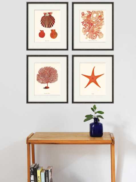 Vintage Red Sea Coral Print Set Antique Nautical Ocean Life Art - image 1
