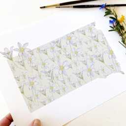 South Dakota State Flower Map Watercolor Wild Prairie Rose - Art Print Wall Floral Wedding Grad Realtor Moving Mother Day Gift - thumbnail 4