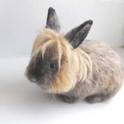 Custom Made Rabbit, Lifelike Needle Felted Rabbit Lionhead Rabbit, Or Any Other Breed - thumbnail 2