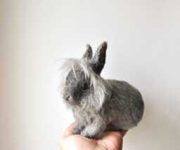 Custom Made Rabbit, Lifelike Needle Felted Rabbit Lionhead Rabbit, Or Any Other Breed