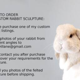 Custom Made Rabbit, Lifelike Needle Felted Rabbit Lionhead Rabbit, Or Any Other Breed - thumbnail 4