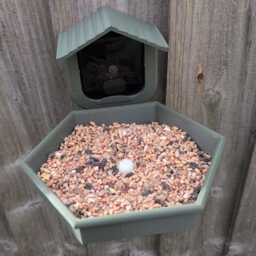 Blink Camera Bird Feeder Traditional Look & Style, Wall Mounted - Camera Not Included - thumbnail 2