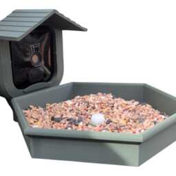 Blink Camera Bird Feeder Traditional Look & Style, Wall Mounted - Camera Not Included - thumbnail 3