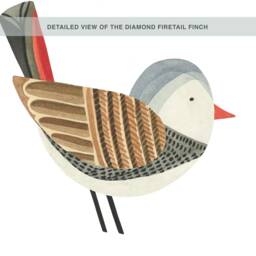 Diamond Firetail Finch Kit - Peel-And-stick Wall Decals Mej - thumbnail 4