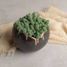 Black & Gold Eclectic Succulents Pottery Planter Pot, Decorative Handmade Round Ceramic For Indoor, Four Size Option, Wedding Gift - thumbnail 3