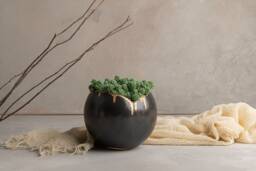 Black & Gold Eclectic Succulents Pottery Planter Pot, Decorative Handmade Round Ceramic For Indoor, Four Size Option, Wedding Gift - thumbnail 1