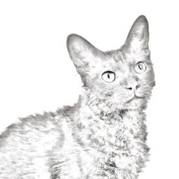 Laperm - Wooden Stand For Candles/Pens With The Image Of A Cat New Collection - thumbnail 2