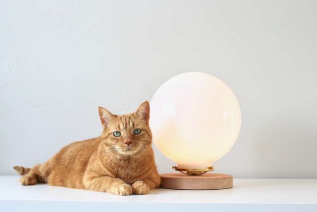 Bubble Lamp, Table Lamp With Large 10 - image 1