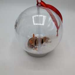Personalised Highland Cow Bauble, First Christmas, Custom Gift, Tree Decoration, Christmas Ornament - thumbnail 3