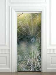 Spider Web Door Sticker, Nature Wallpaper, Mural, Animals Wall Decor, Decor Wrap, Fridge - thumbnail 1