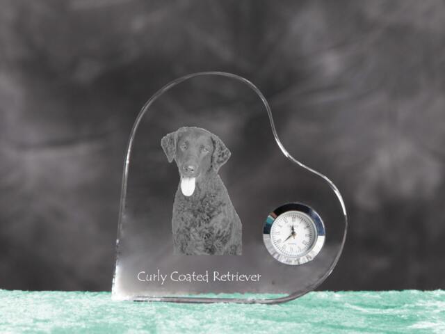 Curly Coated Retriever - Crystal Clock in The Shape Of A Heart With Image Pure-Bred Dog - image 1