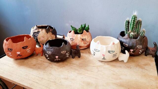 The Big Headed Cat. Ceramic Handmade Plant Pot. Succulent Cactus Grumpy Cat. Personalised. Pottery. Terracotta. Custom Gift Ideas - image 1