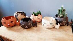 The Big Headed Cat. Ceramic Handmade Plant Pot. Succulent Cactus Grumpy Cat. Personalised. Pottery. Terracotta. Custom Gift Ideas