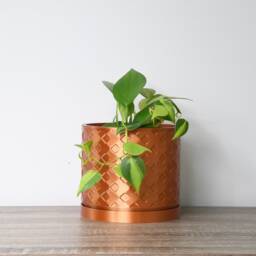 "Wallflower Planter With Drainage & Saucer in Copper, Unique 3D-Printed Plant Pot, Small To Large Sizes 4"" 5"" 6"" 7"" 8" - thumbnail 2