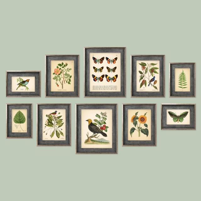 Set Of 10 Vintage Botanical Prints, Poster, Flower Butterfly Sunflower Flamingo Fern Leaf Rose Bird - Prints Ac - image 1