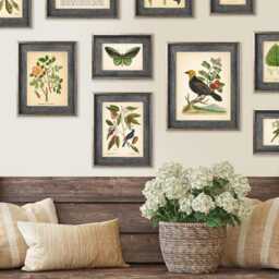 Set Of 10 Vintage Botanical Prints, Poster, Flower Butterfly Sunflower Flamingo Fern Leaf Rose Bird - Prints Ac - thumbnail 3