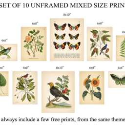 Set Of 10 Vintage Botanical Prints, Poster, Flower Butterfly Sunflower Flamingo Fern Leaf Rose Bird - Prints Ac - thumbnail 2