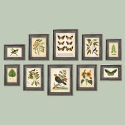 Set Of 10 Vintage Botanical Prints, Poster, Flower Butterfly Sunflower Flamingo Fern Leaf Rose Bird - Prints Ac - thumbnail 1