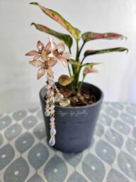 Houseplant Decoration - Plant Steaks Decor Sun Catcher Pot Gift For Plant Lovers, UK - thumbnail 1