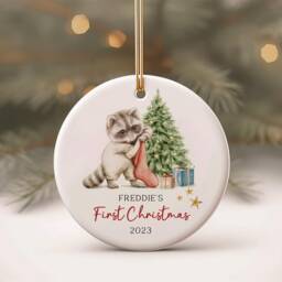 Personalised First Christmas Ornament - Baby's 1st Xmas New Baby Gift Cute Animal Design Racoon 1 - thumbnail 1