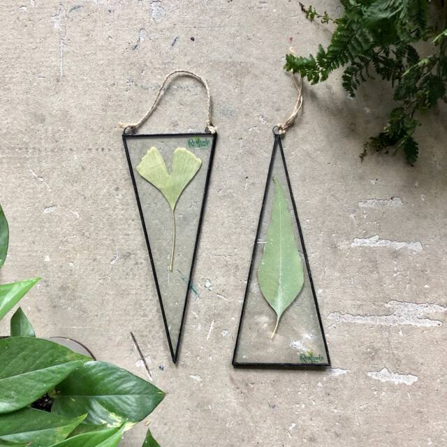 Glass Wall Art, Botanical Dried Plants, Stained Glass Floating Frame, Set Of 2, Geometric Pressed Flower Decor, Triangle Hanging - image 1