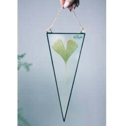 Glass Wall Art, Botanical Dried Plants, Stained Glass Floating Frame, Set Of 2, Geometric Pressed Flower Decor, Triangle Hanging - thumbnail 2