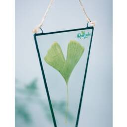 Glass Wall Art, Botanical Dried Plants, Stained Glass Floating Frame, Set Of 2, Geometric Pressed Flower Decor, Triangle Hanging - thumbnail 3