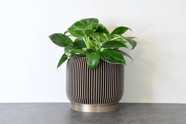 "Ribbed Modern Planter With Drainage & Saucer in Metallic Bronze, Unique 3D-Printed Plant Pot, Small To Large Sizes 4"" 5"" 6"" 7"" 8" - image 1