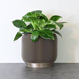 "Ribbed Modern Planter With Drainage & Saucer in Metallic Bronze, Unique 3D-Printed Plant Pot, Small To Large Sizes 4"" 5"" 6"" 7"" 8" - thumbnail 3