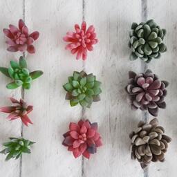 Succulent Plants Faux Succulents Artificial Fake Stems Favours Gift Plant For Pot - thumbnail 2