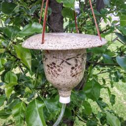 stoneware Pottery Hummingbird Feeder With Leather Hanger - thumbnail 2