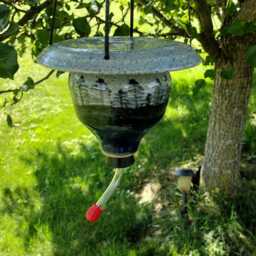 stoneware Pottery Hummingbird Feeder With Leather Hanger - thumbnail 4