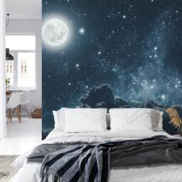 Night Sky Stars Wall Mural, Peel & Stick Wallpaper, Modern Art - thumbnail 2