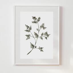 Watercolor Fern Print Green Botanical Wall Art - thumbnail 3