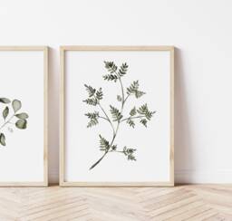 Watercolor Fern Print Green Botanical Wall Art - thumbnail 1