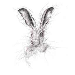 Twitch Hare Cushion, Black & White Pillow, Soft Furnishings, Home Decor, Art For The - thumbnail 2