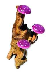 Wall-Hanging Violet Spotted Mushroom Trio On Teak Root Base