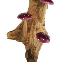 Wall-Hanging Violet Spotted Mushroom Trio On Teak Root Base - thumbnail 4