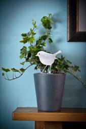 Stainless Steel Robin Plant Pot Ornament, Indoor Or Outdoor, House Plant, Lawn Spike, Hanging Basket, Window Box, Flower Border, Garden Gift