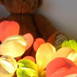 string Lights & Lighting, 20 Led Bulbs Flower Garland, Battery Lights, Wedding Lights Pastel Color Home Decor - thumbnail 4